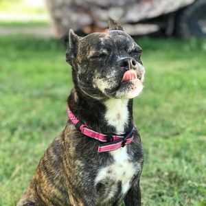 Meet your Posher, Kimber